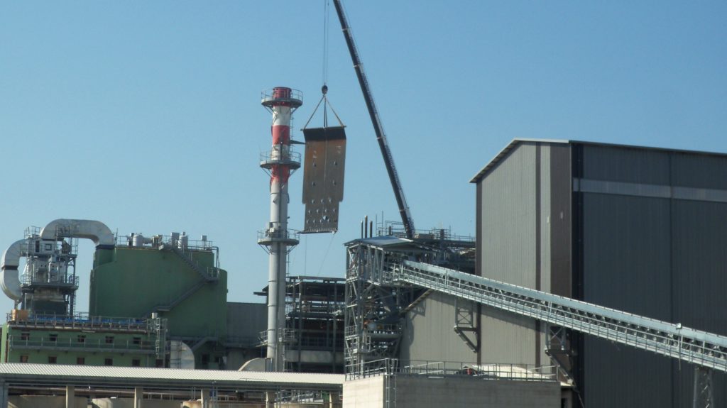 Biomass plant feeding system