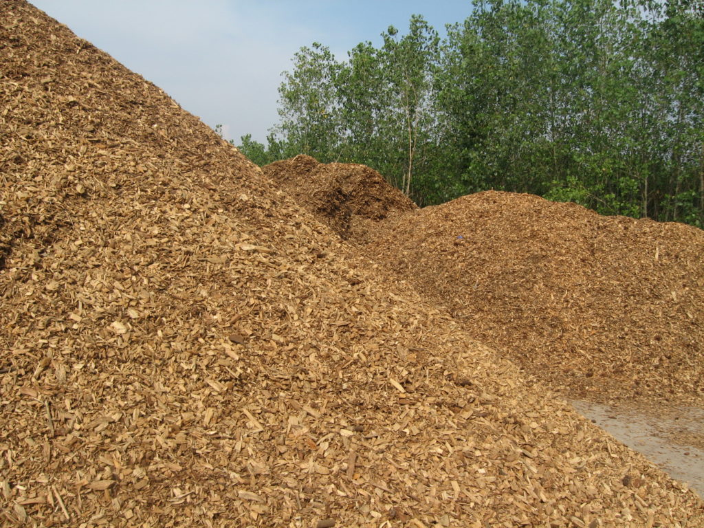 stock of virgin biomass
